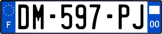 DM-597-PJ