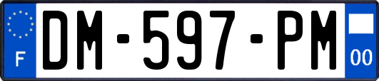 DM-597-PM