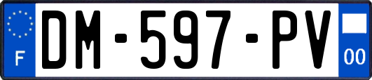 DM-597-PV