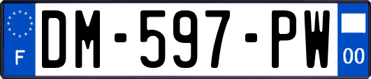 DM-597-PW