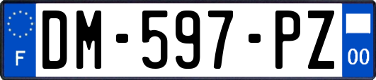 DM-597-PZ