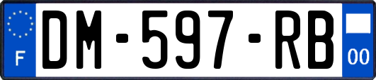 DM-597-RB