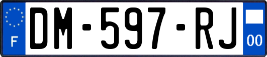 DM-597-RJ