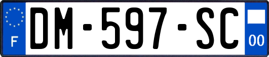 DM-597-SC