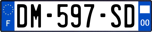 DM-597-SD