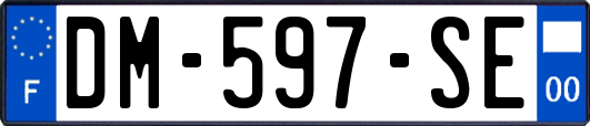 DM-597-SE