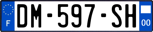 DM-597-SH