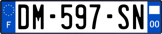 DM-597-SN
