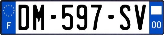 DM-597-SV