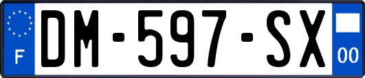 DM-597-SX