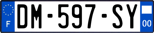 DM-597-SY