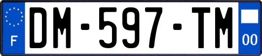 DM-597-TM
