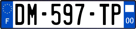 DM-597-TP