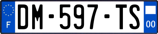DM-597-TS