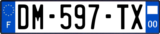 DM-597-TX