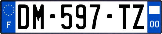 DM-597-TZ
