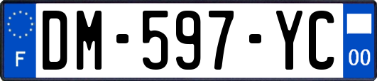 DM-597-YC