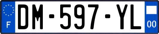 DM-597-YL