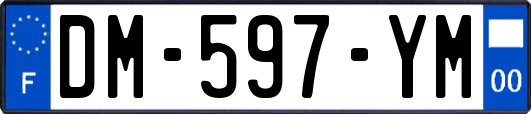 DM-597-YM