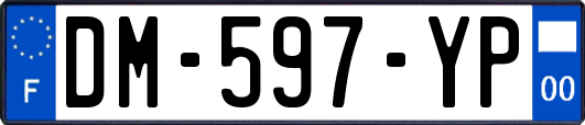 DM-597-YP