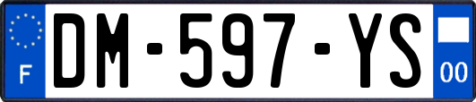 DM-597-YS