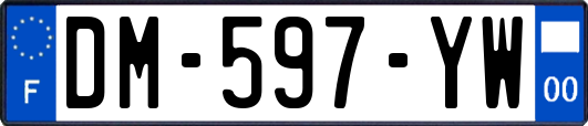 DM-597-YW