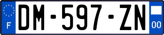 DM-597-ZN