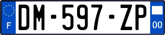 DM-597-ZP