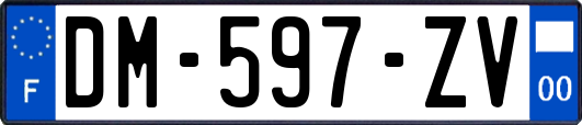 DM-597-ZV