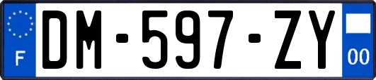 DM-597-ZY