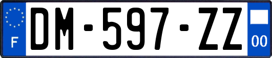 DM-597-ZZ