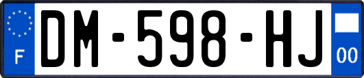 DM-598-HJ