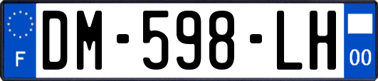 DM-598-LH