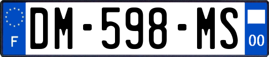 DM-598-MS
