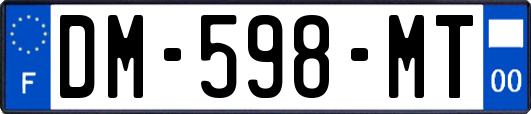 DM-598-MT