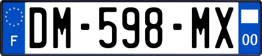 DM-598-MX