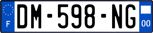 DM-598-NG