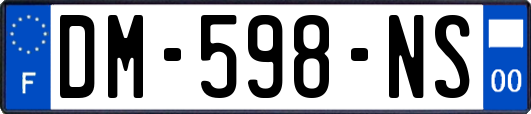 DM-598-NS