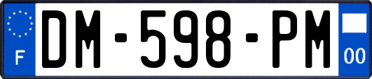 DM-598-PM