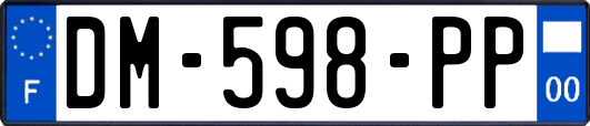 DM-598-PP