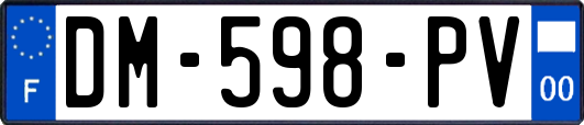 DM-598-PV