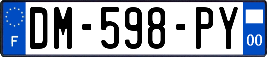 DM-598-PY