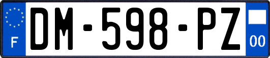 DM-598-PZ