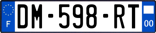 DM-598-RT