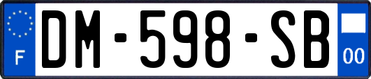 DM-598-SB