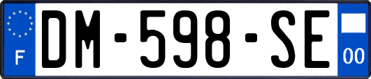 DM-598-SE