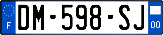 DM-598-SJ