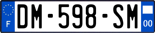 DM-598-SM