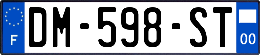 DM-598-ST