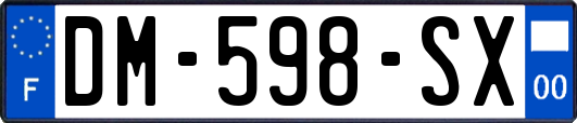 DM-598-SX
